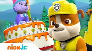 Rubble amp PAW Patrol Deliver a Surprise Cake w Everest amp Chase  Rubble amp Crew [upl. by Ellac]