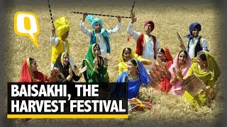 The Quint The Story of Baisakhi Bihu And India’s Harvest Festivals [upl. by Elyrrad144]