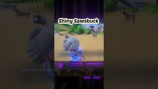 Shiny Sawsbuck pokemonviolet pokemon switchgames sawsbuck [upl. by Arremat]