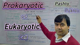 Prokaryotic cells vs Eukaryotic cells  Biology  Class 11  Dr Mushtaq Pashto Lectures [upl. by Ahsenet]