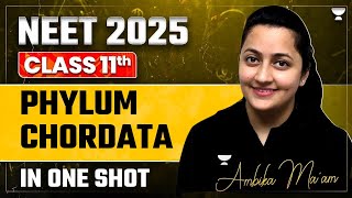 NEET 2025 Phylum Chorddata  Complete Chapter  Ambika Sharma [upl. by Morganstein]