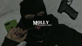 Playboy Carti  Molly slowed  reverb [upl. by Lymann996]