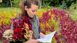 Ageratum Amaranth Aster Love in a Puff amp Celosia Review 2023 [upl. by Yelraf385]