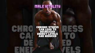 Stress vs Male Vitality The Hidden Connection  Outlive  Petter Attia testosterone fitness [upl. by Ahsatin368]