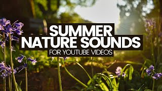 Nature Sound Effects For YouTube Videos No copyright Royaltyfree audio [upl. by Arayk383]