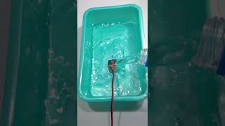 DC Motor Underwater Testing [upl. by Edyaj]