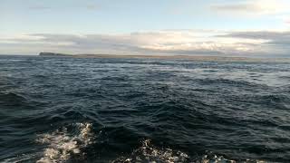 Sailing through the infamous Pentland Firth [upl. by Iline850]