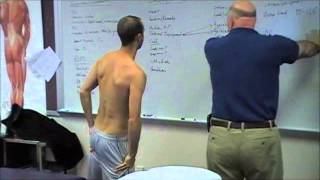 Scapular Protraction Pectoralis Minor Stretching [upl. by Pontus]