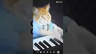 we miss piano catmost respected and commented short [upl. by Topper]