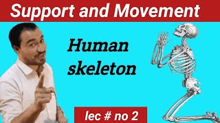 human skeleton system education indiabiology [upl. by Urias919]