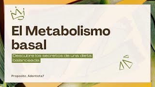 3️⃣Metabolismo basalequilibrar nutrientesdieta vegetariana y ejercicio [upl. by Soalokcin811]