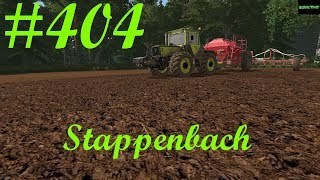 LP404 Stappenbach LS17 Sonnenblumen [upl. by Hola491]