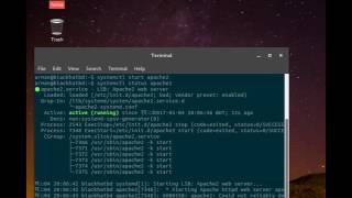 How to  start  stop  restart and check status  apache2 service in Ubuntu [upl. by Downall]