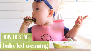 BABY LED WEANING HOW TO START amp DO IT RIGHT [upl. by Rakso195]