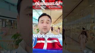 Denmark 🇩🇰 ڈنمارک میں مختلف شعبوں میں ملازمتیں کھلی ہیں مزدوری کی تعمیر یہ کارپینٹر فیکٹری ورکرز [upl. by Irmgard753]