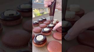 Lamington Cake Macarons NEW recipe and tutorial available to members 👩🏻‍🍳 [upl. by Naesyar634]