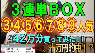 【競馬検証】42万円投資！3連単BOX③④⑤⑥⑦⑧⑨人気で買ってみた！ [upl. by Elleined]