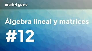 Álgebra lineal y matrices – 12 Matriz inversa con determinantes [upl. by Terza950]