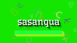 How to say quotsasanquaquot High Quality Voices [upl. by Nylknarf]