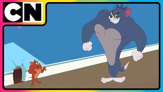 Tom amp Jerry 😺🐭 Just Cat amp Mouse Things  tomandjerry  Funny Cartoons  cnindia [upl. by Merritt]