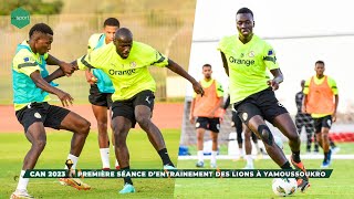 CAN 2023  Première Séance d’entrainement des lions à Yamoussoukro [upl. by Scrivens]