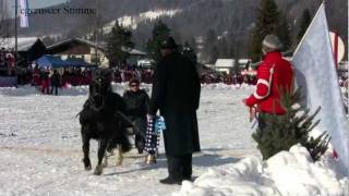 Bäuerliches Schlittenrennen Rottach Egern 2012 [upl. by Gibert]