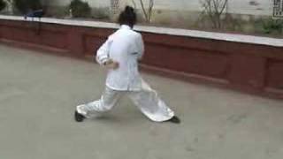 a kung fu masters amazing exercise [upl. by Acirej]