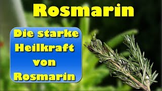 Rosmarin – die starke Heilkraft von Rosmarin – nicht nur zur Steigerung der Gedächtnisleistung [upl. by Eeresed778]