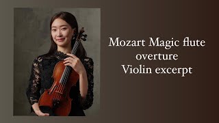 Mozart Magic flute overture violin excerpt [upl. by Brabazon]