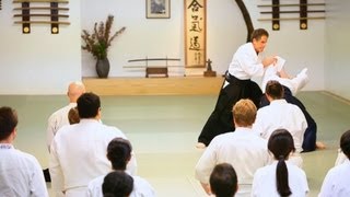 What Is Aikido  Aikido Lessons [upl. by Ailes67]