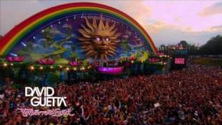 David Guetta  Tomorrowland 2010 [upl. by Alano]