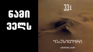 ნიაზ დიასამიძე amp 33ა  ნამი ველს  Niaz Diasamidze amp 33A  Nami Vels [upl. by Lomaj]