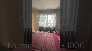 🏡 SE Immobilien 1ZKB inkl EBK  Stellplatz zur Miete in Heidesheim shorts realestate home 🏡 [upl. by Levison]