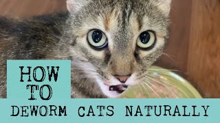 How to Deworm Cats Naturally with Diatomaceous Earth [upl. by Heilman]