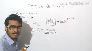 Plasmolysis explained in detail turgid  flaccid and plasmolysed cells [upl. by Claudette]