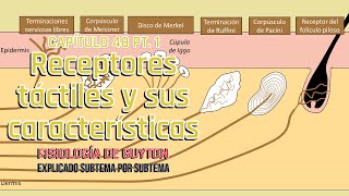 FISIOLOGÍA INTRODUCCIÓN  ENTENDIENDO GUYTON CAP 1 [upl. by Assen741]