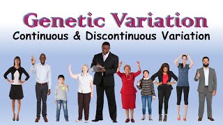 Genetic Variation Continuous amp Discontinuous [upl. by Yelsew494]