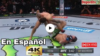 Chito Vera vs Deiveson Figueiredo en vivo en Español por el peso gallo Abu Dhabi [upl. by Jania]