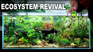 BUILDING 8FT AQUARIUM full costs  equipment breakdown [upl. by Gasparo]