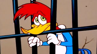 Woody Woodpecker Show  Woody in JAIL  Videos For Kids [upl. by Laup]