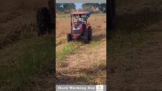 Hard Working Day 170 Dry Hay Spreader In The Field [upl. by Atreb]