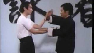 Wing Chun Basic Techniques part 4 Shaolin Kung Fu and Ip Man Chinese Fighting Art [upl. by Kappenne]