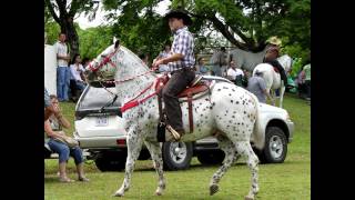 Arenal Costa Rica Bull and Horse Festival [upl. by Nywde]