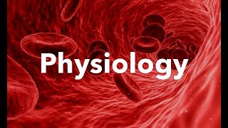 Physiology  Blood  Lec 1  Important Introduction [upl. by Orsa]