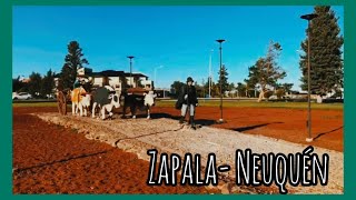 ZAPALA  NEUQUÉN 🏔️🌎🇦🇷 DRONE MINI MAVIC 2 [upl. by Magulac]