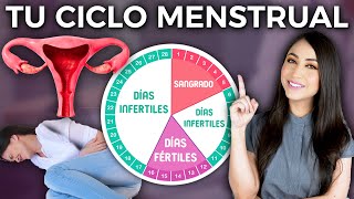 Conoce tu CICLO MENSTRUAL y días fértiles l Dra Pau Zúñiga 👩🏻‍⚕️ [upl. by Danuloff]