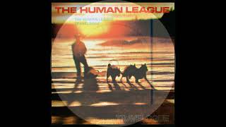 The Human League  Life kills 1980 [upl. by Anerrol]