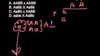 Which of the following is the testcross How to find if the plant is homozygous or heterozygous [upl. by Paget]