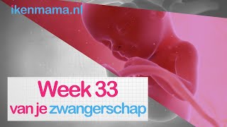 33 weken zwanger  ikenmamanl [upl. by Sesom]