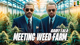 WEED FARM जल्द ही आ रहा है । Rauff LALA । TLRP [upl. by Naek505]